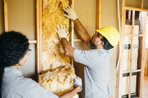 Best Wall Insulation Contractor  in West Bend, WI