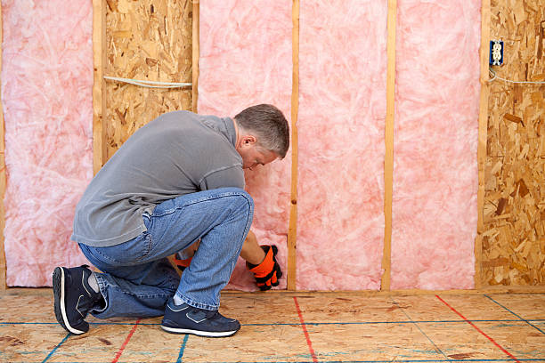 Best Insulation Removal  in West Bend, WI